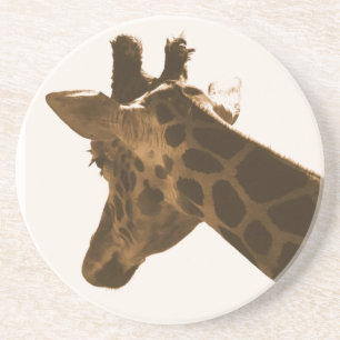 Posavasos De Arenisca Reticulación del perfil de la jirafa