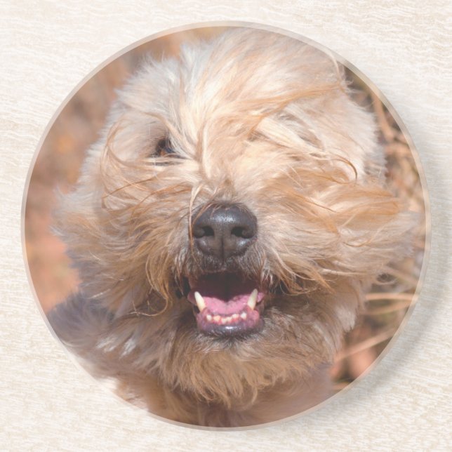 Posavasos De Arenisca Retrato de Terrier en llantas blandas (Frente)