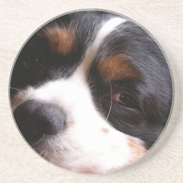 Posavasos De Arenisca Rey Charles Cavalier Spaniel Coasters (Frente)