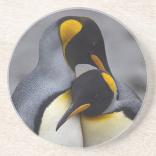 Posavasos De Arenisca Rey pingüinos en práctico de costa del amor