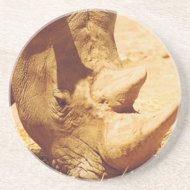 Posavasos De Arenisca Rhinoceros (Frente)