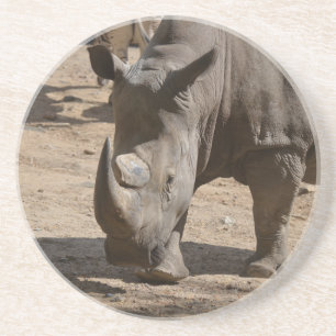 Posavasos De Arenisca Rinoceronte Rutting