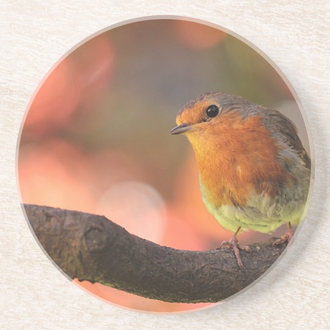 Posavasos De Arenisca Robin en una rama (Frente)