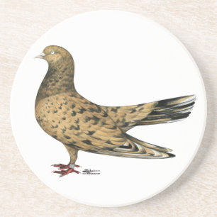 Posavasos De Arenisca Roller oriental volador Pigeon Almond