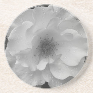 Posavasos de arenisca Rosa Blanca