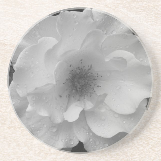 Posavasos de arenisca Rosa Blanca (Frente)