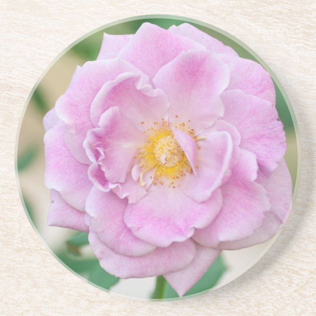 Posavasos De Arenisca Rosa Briar (Frente)
