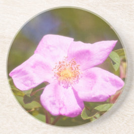 Posavasos De Arenisca Rosa Briar