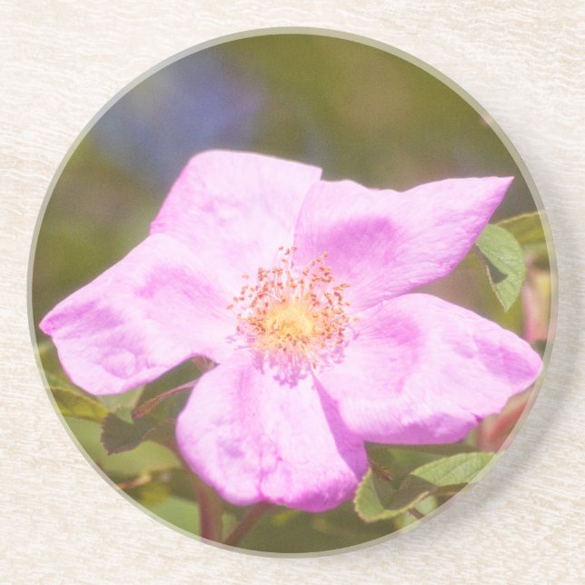 Posavasos De Arenisca Rosa Briar (Frente)