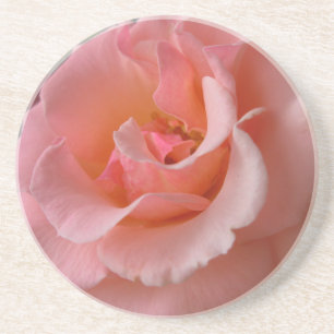 Posavasos De Arenisca Rosa de bolas de nieve Regalos Rosas salvajes Deco