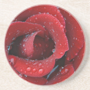 Posavasos De Arenisca Rosa roja cubierta de rocío decorando el sitio de