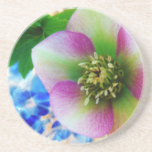 Posavasos De Arenisca Rosa rosa de Cuaresma bola de vidrio azul