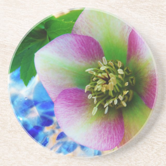 Posavasos De Arenisca Rosa rosa de Cuaresma bola de vidrio azul (Frente)