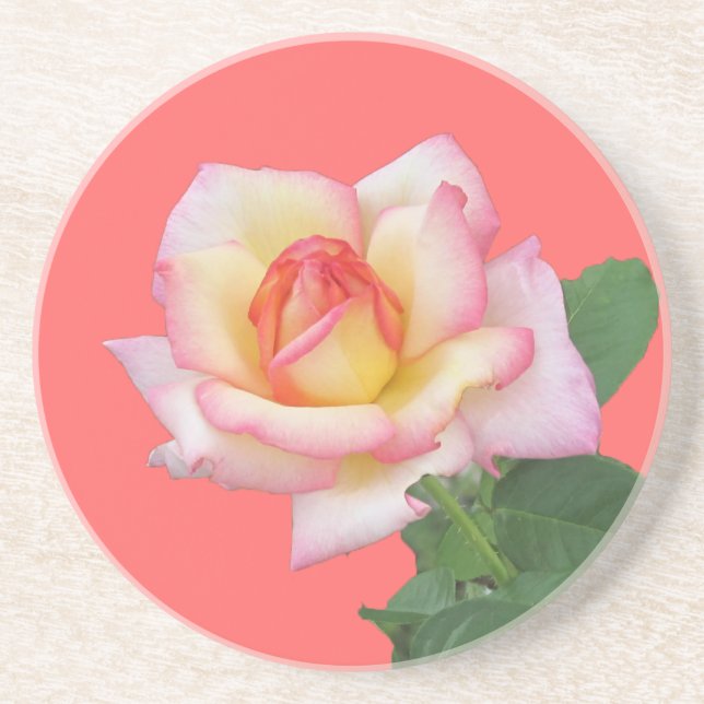 Posavasos De Arenisca Rosa rosa de dos tonos (Frente)