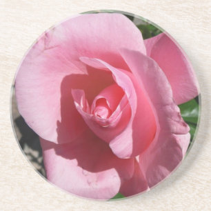 Posavasos De Arenisca Rosa rosa III Jardín Floral