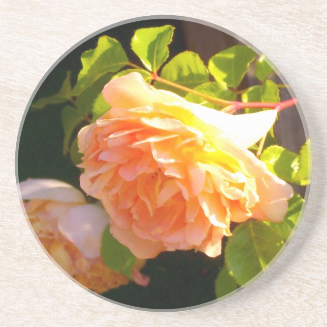 Posavasos De Arenisca Rosas de Country Peach (Frente)