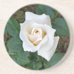 Posavasos De Arenisca rosebudo blanco