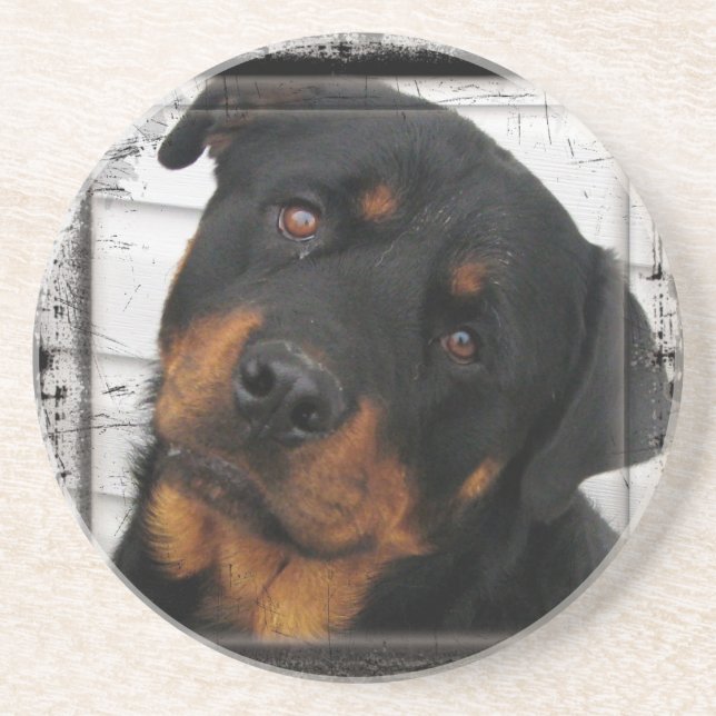 Posavasos De Arenisca Rottweiler personalizado (Frente)