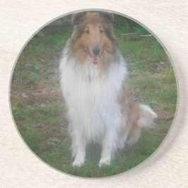 Posavasos De Arenisca Rough Sable Collie Coasters