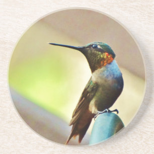 Posavasos De Arenisca Ruby encaramado y colibrí verde