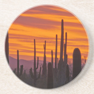 Posavasos De Arenisca Saguaro, puesta del sol, Parque Nacional Saguaro