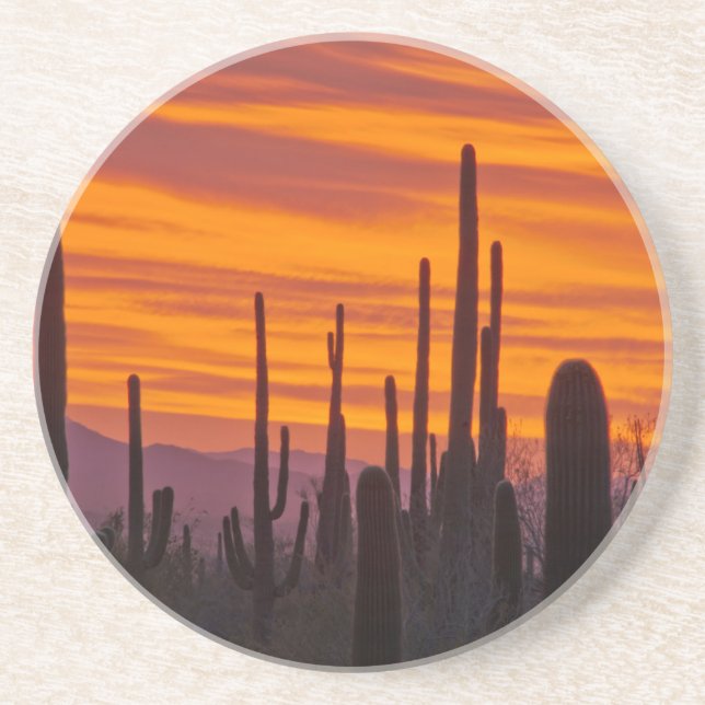 Posavasos De Arenisca Saguaro, puesta del sol, Parque Nacional Saguaro (Frente)
