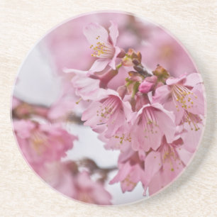 Posavasos De Arenisca Sakura cerezo florece rosa pálido