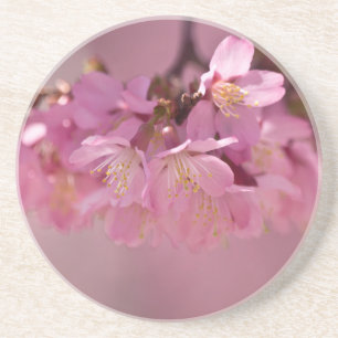 Posavasos De Arenisca Sakura cerezo florecimiento Delicado Bouquet Rosa