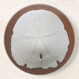 Posavasos De Arenisca Sand Dollar Coasters