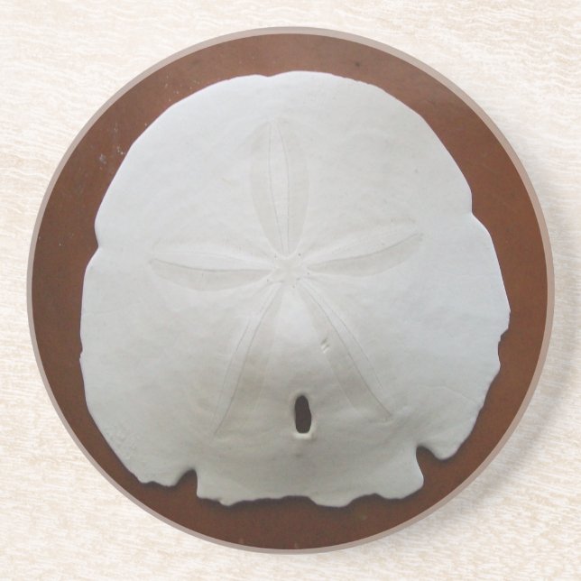 Posavasos De Arenisca Sand Dollar Coasters (Frente)