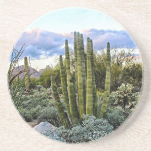 Posavasos De Arenisca Scottsdale Succulent Sunset