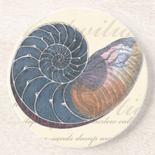 Posavasos De Arenisca Selva romántica