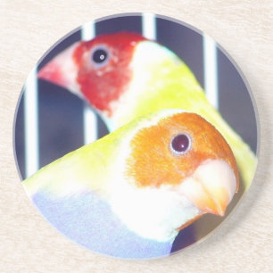 Posavasos De Arenisca Señora Gouldian Finch
