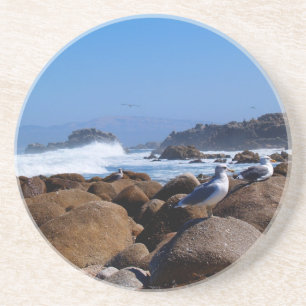 Posavasos De Arenisca Serie animal: gaviotas sobre las rocas