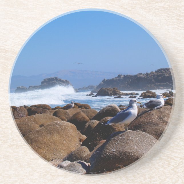 Posavasos De Arenisca Serie animal: gaviotas sobre las rocas (Frente)