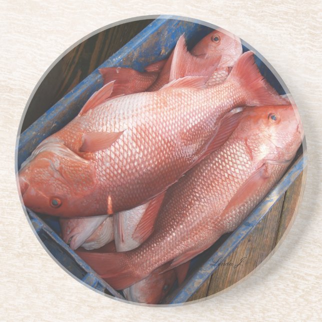 Posavasos De Arenisca Serie Animal: Semilla De Pescado De Pargo Rojo (Frente)
