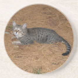 Posavasos De Arenisca Serie Cat—Serval Savannah Cat—Coaster