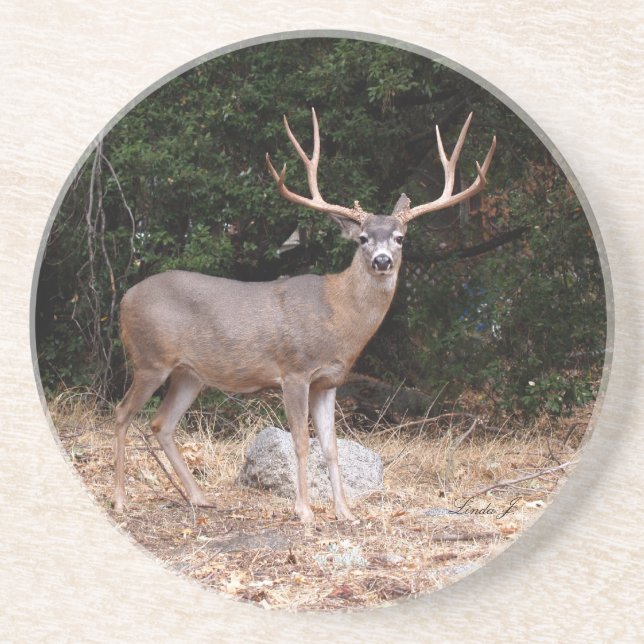 Posavasos De Arenisca Serie de animales: Pascua de venados (Frente)