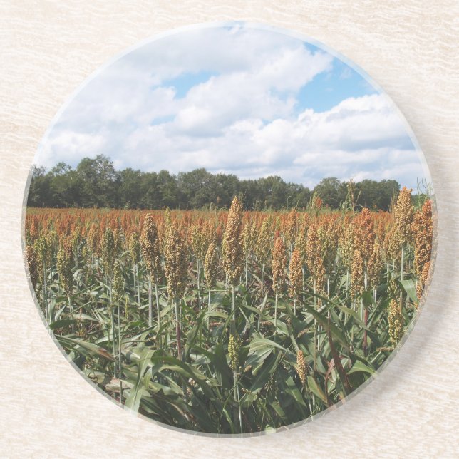 Posavasos De Arenisca Serie de granjas: Campo Sorghum (Coaster) (Frente)