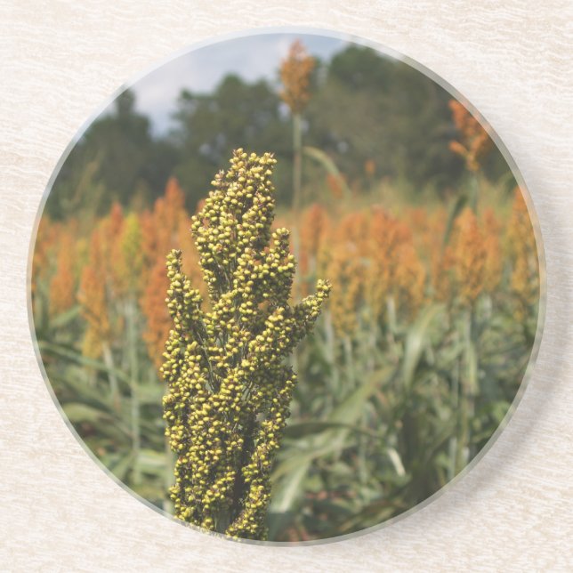 Posavasos De Arenisca Serie de granjas: Campo Sorghum (Coaster) (Frente)