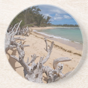 Posavasos De Arenisca Serie Escenaria: Semilla de entrecot de leña