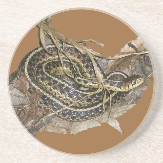 Posavasos De Arenisca Serpiente de Garter Oriental Joven (Frente)
