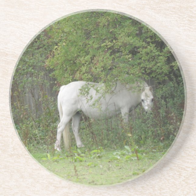 Posavasos De Arenisca Shy White Horse Coasters (Frente)