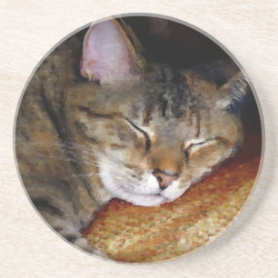 Posavasos De Arenisca Sleep Cat Coaster