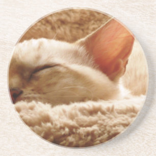 Posavasos De Arenisca Sleepy Cat