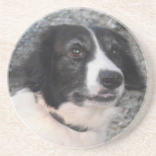 Posavasos De Arenisca Sonriente de espuma de montaña