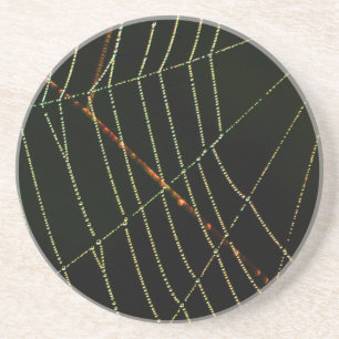 Posavasos De Arenisca Spider Web
