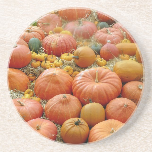 Posavasos De Arenisca Squash Galore (Frente)