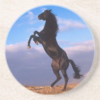 Posavasos De Arenisca Stallion negro
