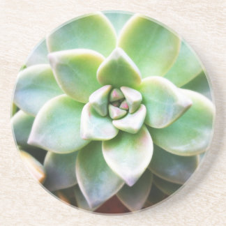 Posavasos De Arenisca Succulent verde